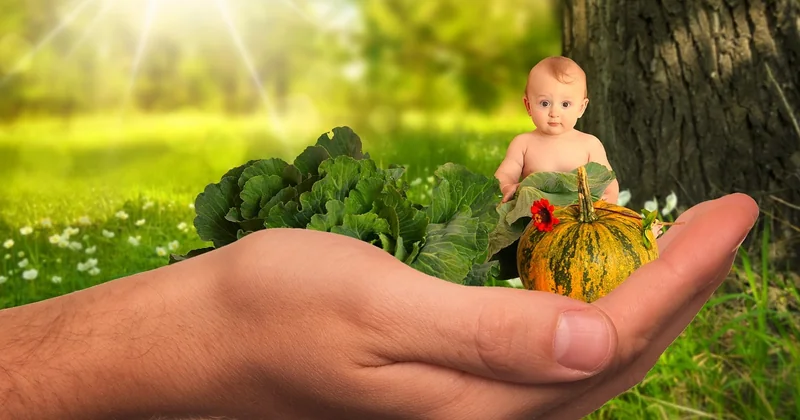 La liste des aliments à éviter absolument avant 1 an